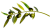 Olio extra vergine