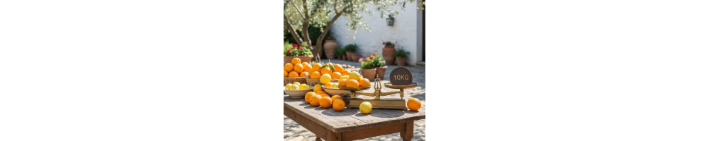 Confezioni di Agrumi di Sicilia da 10kg